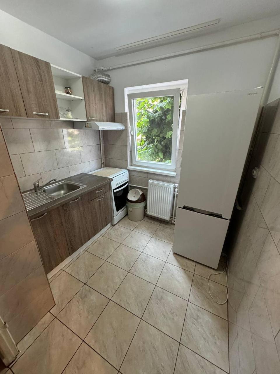 Affordable Apartment Close To The Castle Hunedoara Exterior photo