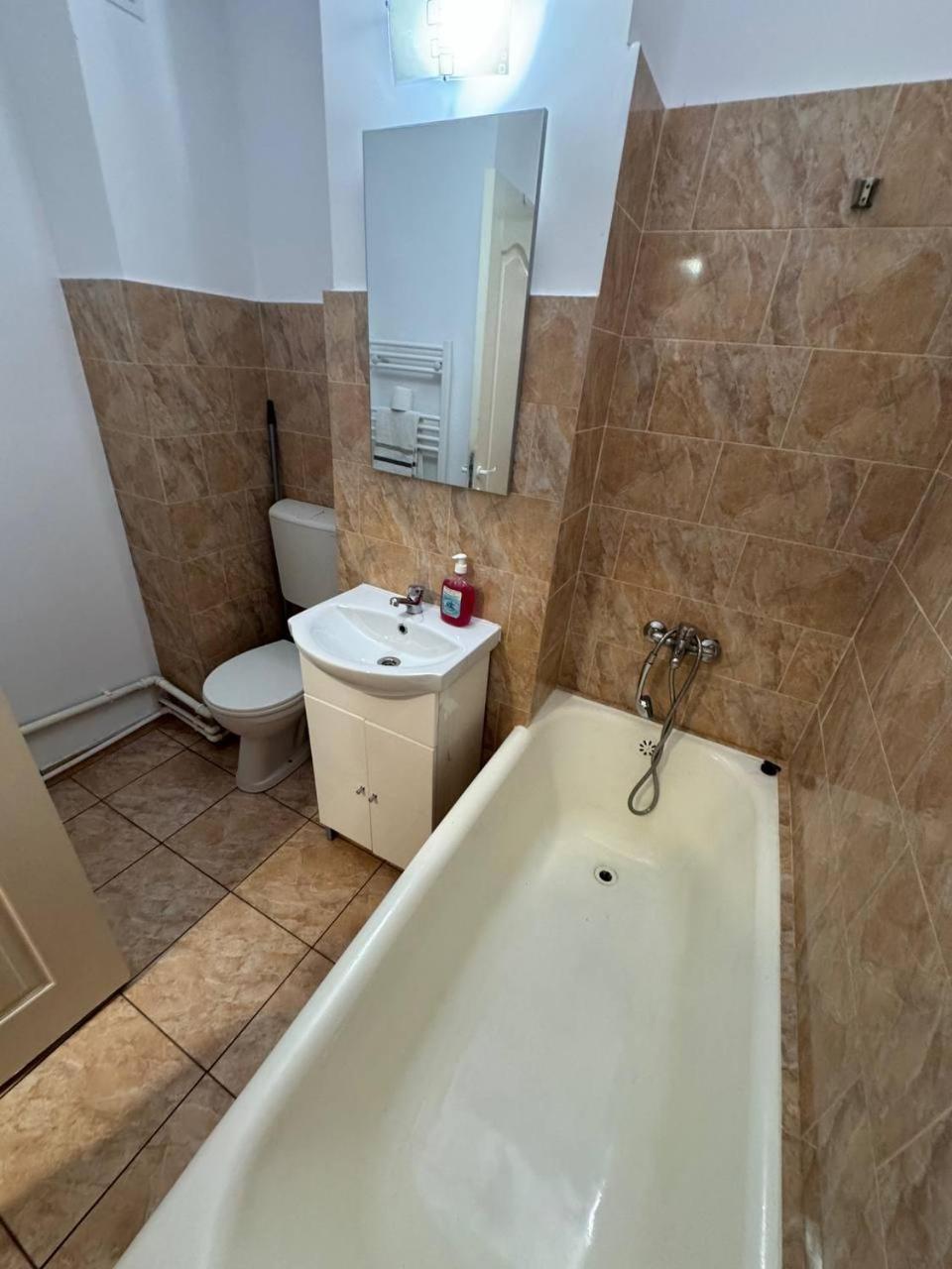 Affordable Apartment Close To The Castle Hunedoara Exterior photo