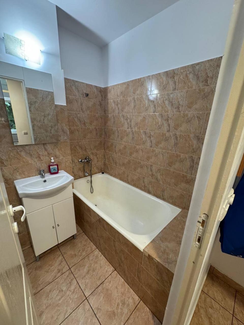 Affordable Apartment Close To The Castle Hunedoara Exterior photo